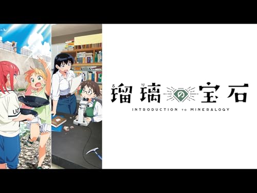 アニメの評価と感想「瑠璃の宝石