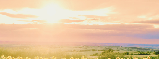 hanano01：イラスト画像